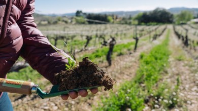 Agricultura destina 35,3 millones a seguros agrarios para reforzar la competitividad del campo 