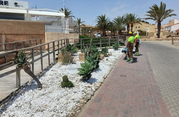 Alicante pone en marcha medidas de mejora paisajística en los jardines de Tabarca
