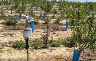 Un sistema de monitorización real mejorará el regadío en Abanilla 