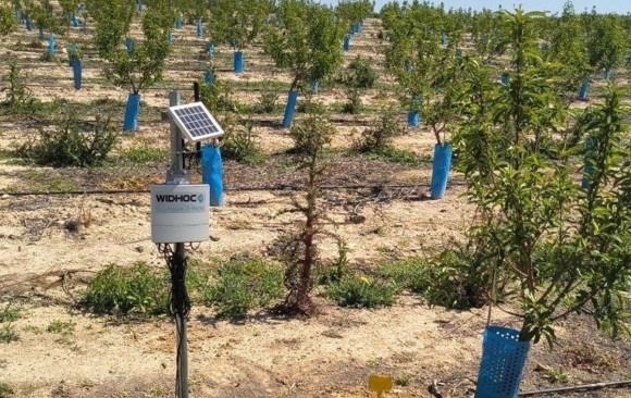 Un sistema de monitorización real mejorará el regadío en Abanilla 