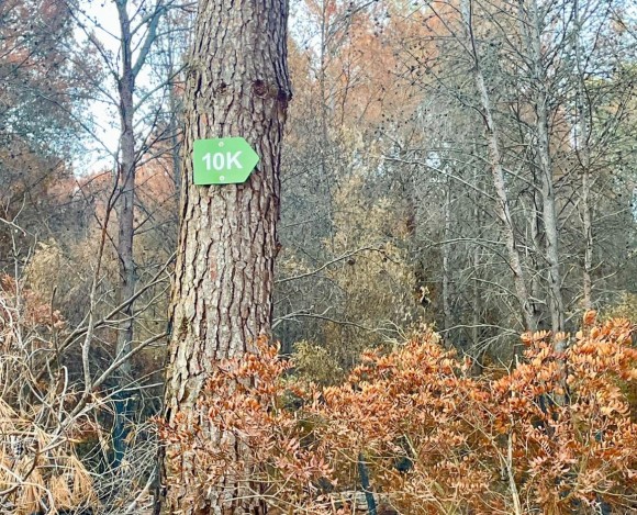 Betxí tramita una línea de ayudas para afrontar los daños del incendio de la Serra d'Espadà 