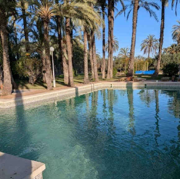 Otro proyecto de camping en Elche en la carretera de Santa Pola: bungalows, parcelas... y encaje con el palmeral