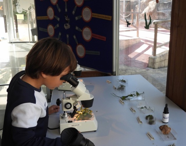 Estas son las siete propuestas de la 'Mochila de actividades' para disfrutar de la naturaleza de la Región los últimos días de agosto