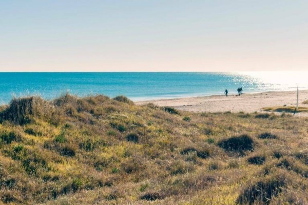 Acció ecologista alerta de la desprotección y privatización del litoral valenciano