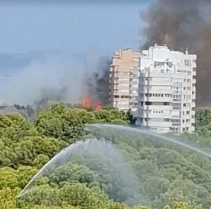 Declarado un incendio en el parque natural de El Saler