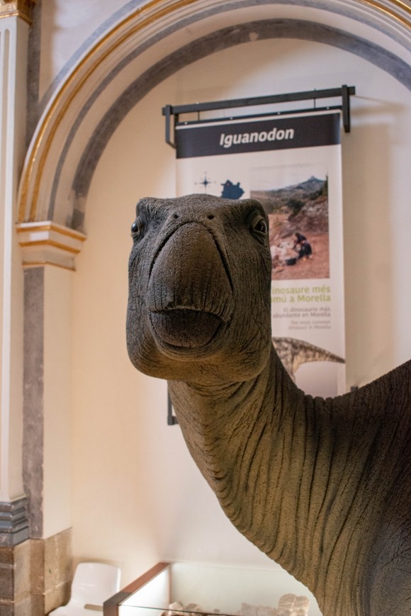 Un estudio descubre la primera infección bacteriana de origen cutáneo en un dinosaurio en Morella