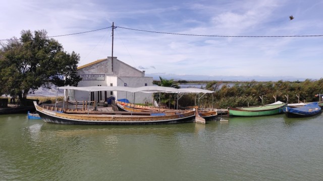 El Ivace+i impulsa la electrificación de 11 embarcaciones tradicionales de l'Albufera