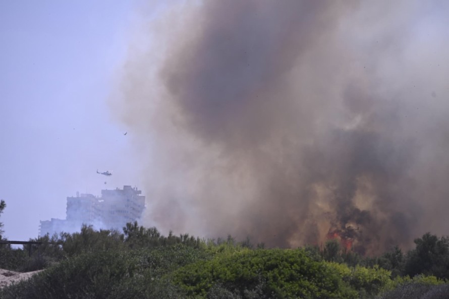 Declarado un incendio en el parque natural de El Saler