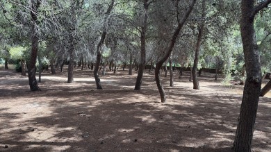 Orihuela destina cerca de 20.000 euros a crear una zona de picnic en el Soto de Desamparados