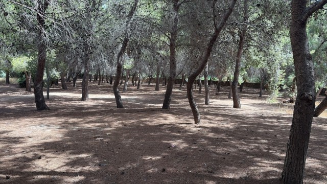 Orihuela destina cerca de 20.000 euros a crear una zona de picnic en el Soto de Desamparados