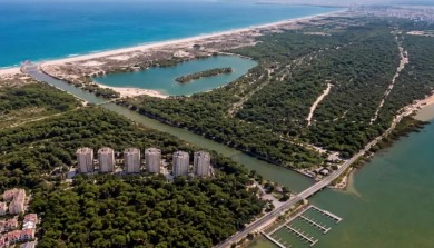 La Devesa de El Saler: el bosque más próximo a València, con 300 hectáreas de pinar