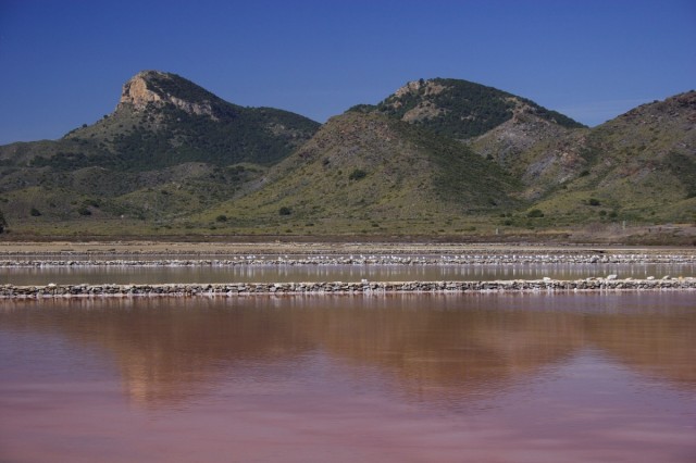 Las Salinas del Rasall recibirán un tratamiento biológico para controlar los dípteros