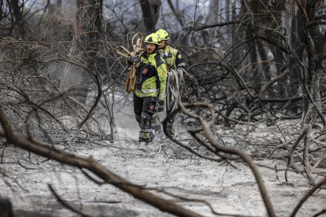Los bomberos dan por estabilizado el incendio forestal de El Saler