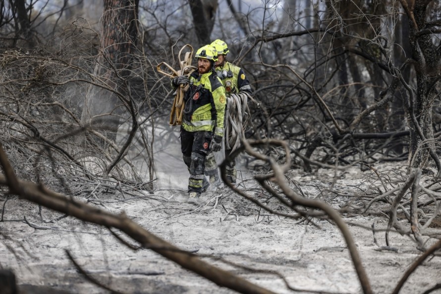 Los bomberos dan por estabilizado el incendio forestal de El Saler