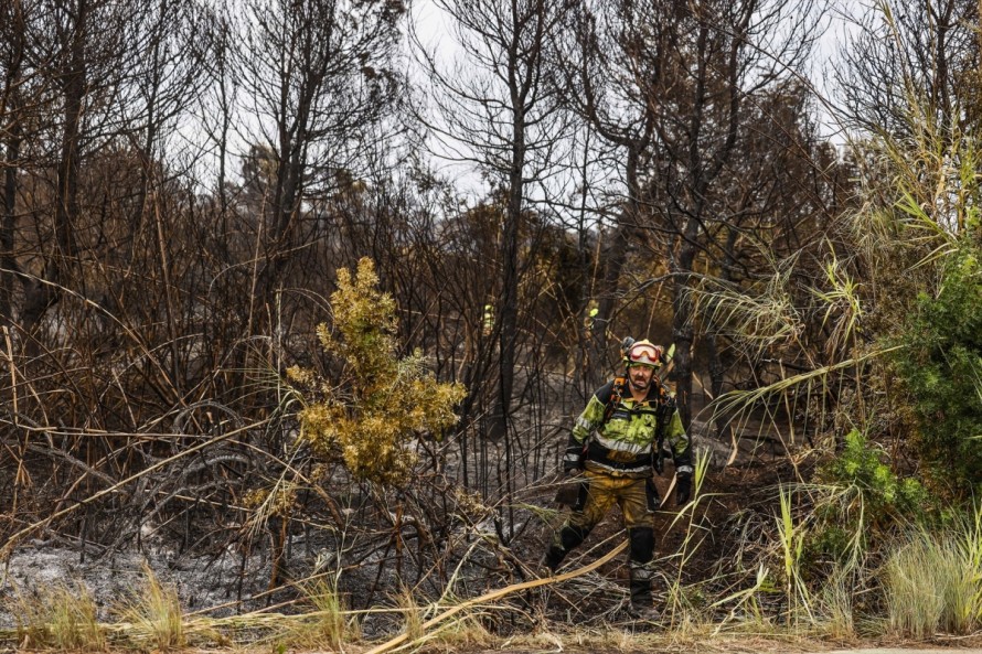 Controlado el incendio forestal de El Saler 