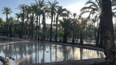 Elche impulsa su seguridad ambiental con el nuevo Plan Director de Agua Regenerada para el riego urbano