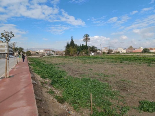 Catral adjudica a Abala Infraestructuras el Colegio Número 2 por 8,5 millones