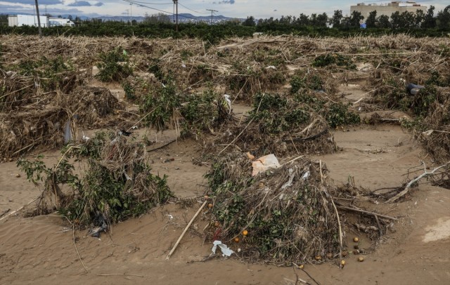 El Gobierno amplía en 75,2 millones el presupuesto para recuperar el potencial agrario afectado por la Dana