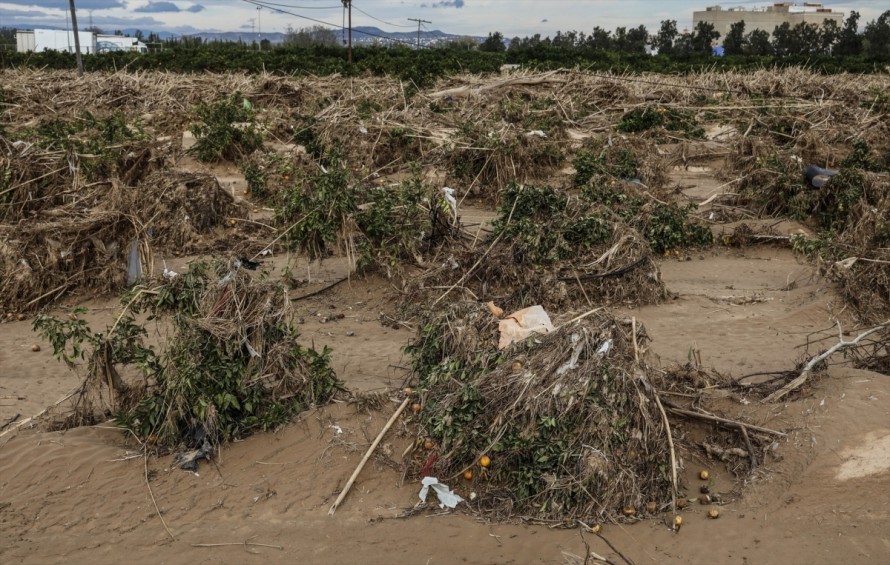 El Gobierno amplía en 75,2 millones el presupuesto para recuperar el potencial agrario afectado por la Dana
