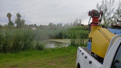 La Diputación subraya la labor diaria del servicio de control de mosquitos y prepara la época de lluvias