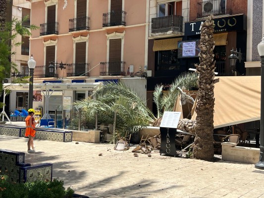 Cae una palmera sobre una terraza en La Glorieta y talan otra en riesgo de caída