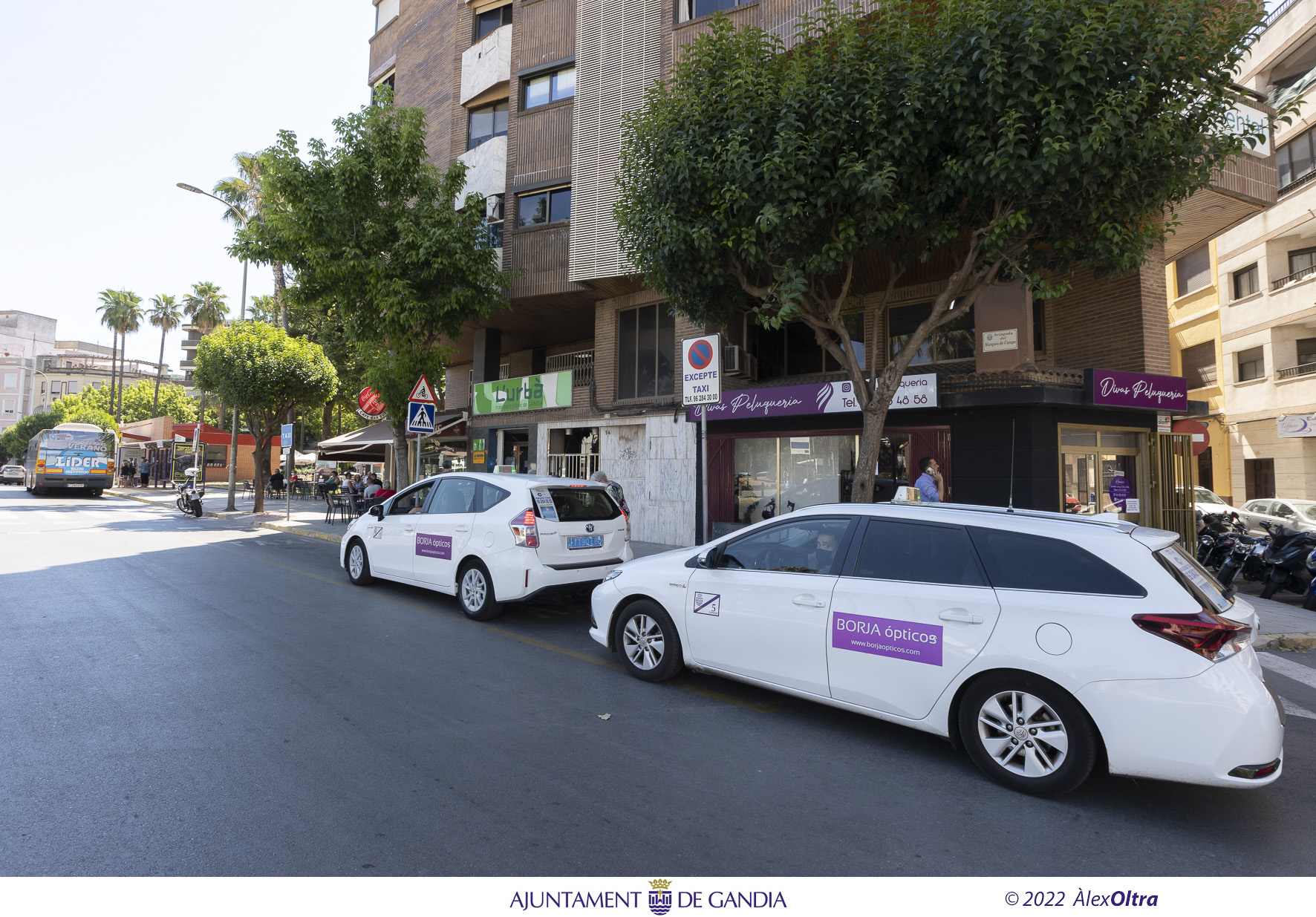 Foto: AJUNTAMENT DE GANDIA - 