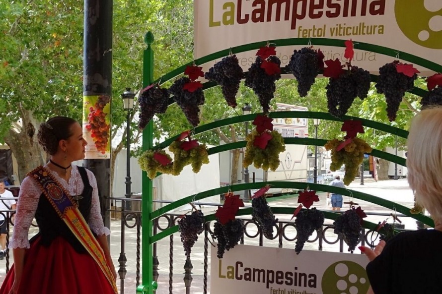 Utiel busca los mejores racimos de la comarca en su Concurso de Uvas