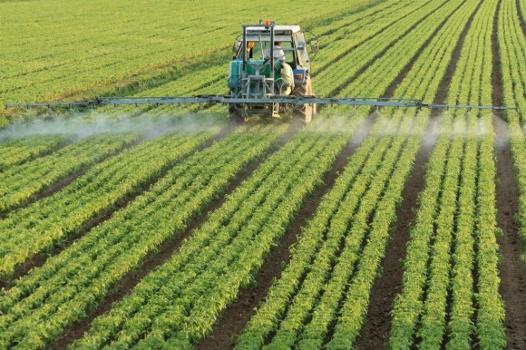 Ocho millones y medio de euros para aliviar la factura de los fertilizantes de más de 4.000 agricultores de la Región