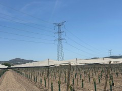 Monforte planta cara a la línea eléctrica de las macroplantas solares de Novelda y Aspe