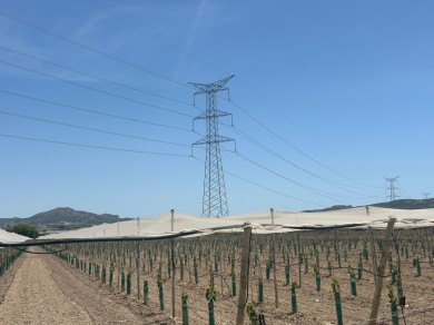 Monforte planta cara a la línea eléctrica de las macroplantas solares de Novelda y Aspe