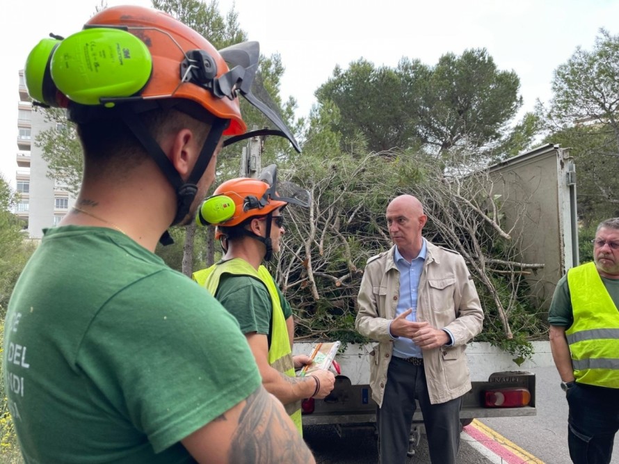 Devesa-Albufera refuerza la prevención junto a edificios: del 29,47 al 52,67% de las toneladas retiradas