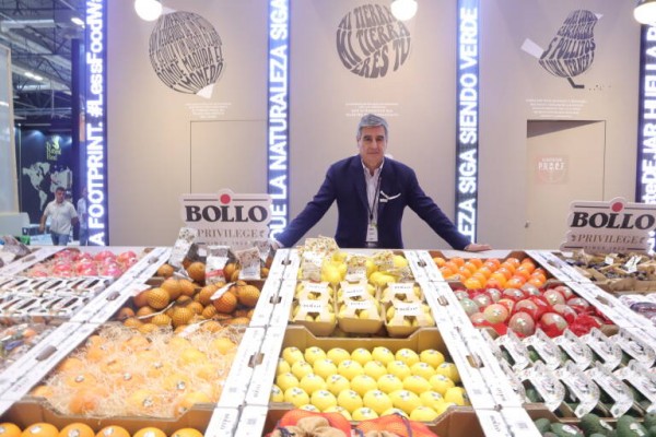 Bollo (TNFC) extingue cinco filiales para concentrar su negocio en su cabecera
