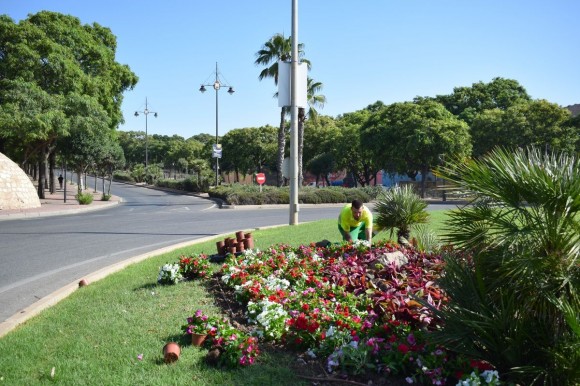 Cartagena se viste de largo con más de 12.000 plantas para la llegada de Carthagineses y Romanos