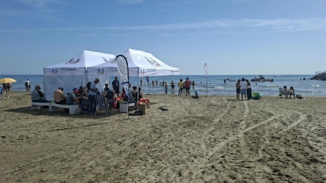Cocemfe y los buceadores de Castellón reúnen a más de 100 participantes en 'Mediterráneo accesible'