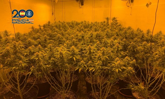 Los detenidos por tráfico de drogas bajan un 19% en la Región de Murcia pese a que repuntan las denuncias