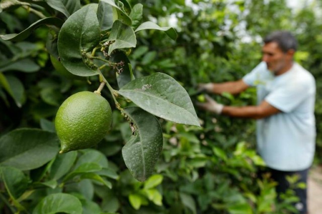 Agricultura y tecnología se dan cita en Lorca para hacer frente al déficit hídrico