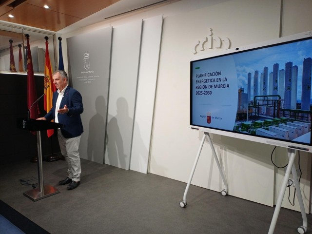 La Región denuncia el retraso de las reuniones para planificar la red eléctrica: 