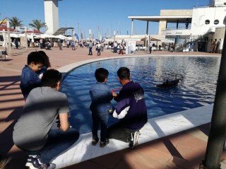 Más de una decena de actividades consolidan El Moruno como referente cultural y lúdico en el puerto de Castelló