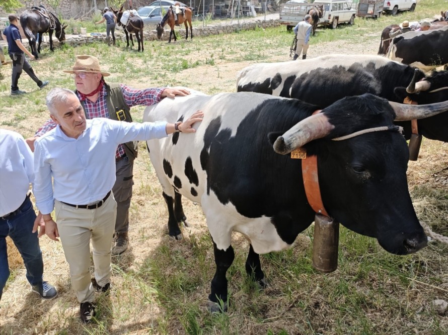 Agricultura amplía en 400.000 euros las ayudas a indemnizaciones por sacrificios obligatorios de animales en 2026