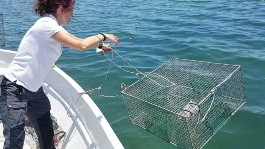 Las altas temperaturas golpean a la pesca de San Pedro: las ventas de langostino y dorada caen un 20% este verano