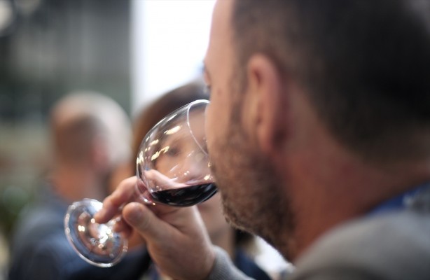 El Gobierno prolonga hasta 2029 el acuerdo con la Organización Interprofesional del Vino de España