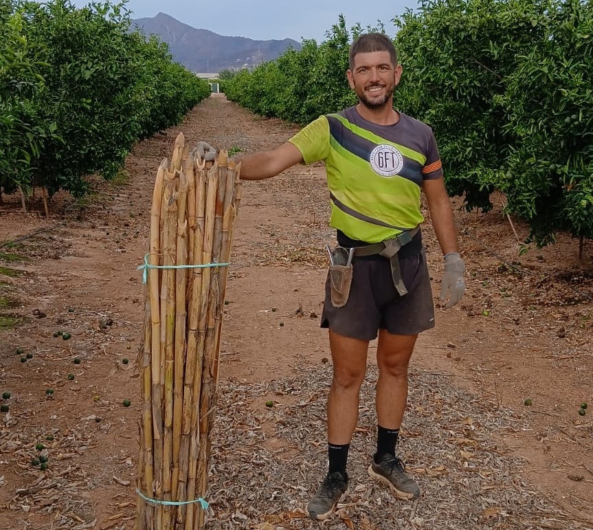 David Valero, citricultor de la Vall.
