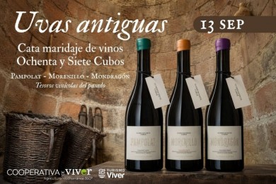 La Cooperativa de Viver ofrece una cata maridaje de vinos de uvas ancestrales