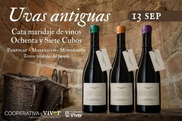 La Cooperativa de Viver ofrece una cata maridaje de vinos de uvas ancestrales