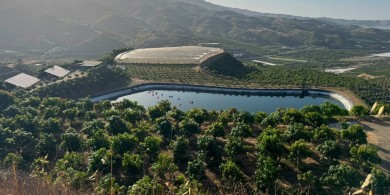 La alcoyana PowerfulTree lleva a los frutales la agrivoltaica inteligente: ya ha sido validada en viñedos para vino