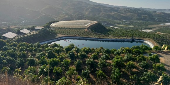 La alcoyana PowerfulTree lleva a los frutales la agrivoltaica inteligente: ya ha sido validada en viñedos para vino