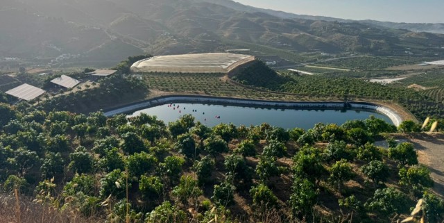 La alcoyana PowerfulTree lleva a los frutales la agrivoltaica inteligente: ya ha sido validada en viñedos para vino
