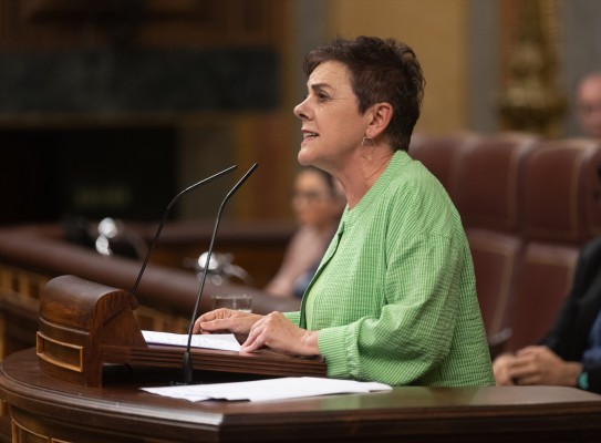 Socios del PSOE se desmarcan de la renovación del CGPJ y lamentan que no cambie 