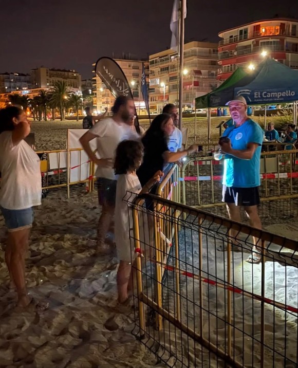 Guardia de voluntarios en El Campello para proteger una nidada de huevos de tortuga 'boba'
