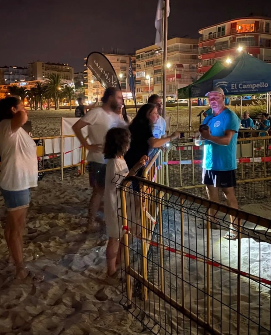 Guardia de voluntarios en El Campello para proteger una nidada de huevos de tortuga 'boba'